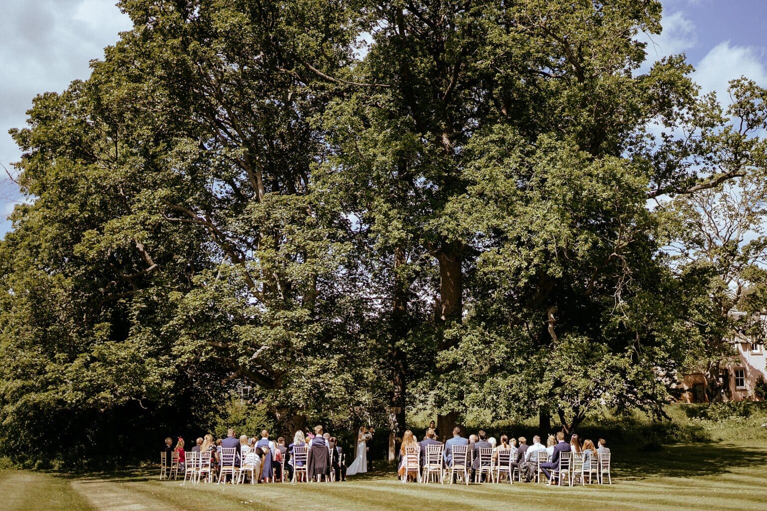 view from behind of everyone sitting at outdoor ceremony on grass lawn in front of big green trees colstoun house wedding unique venues scotland unique wedding venue scotland