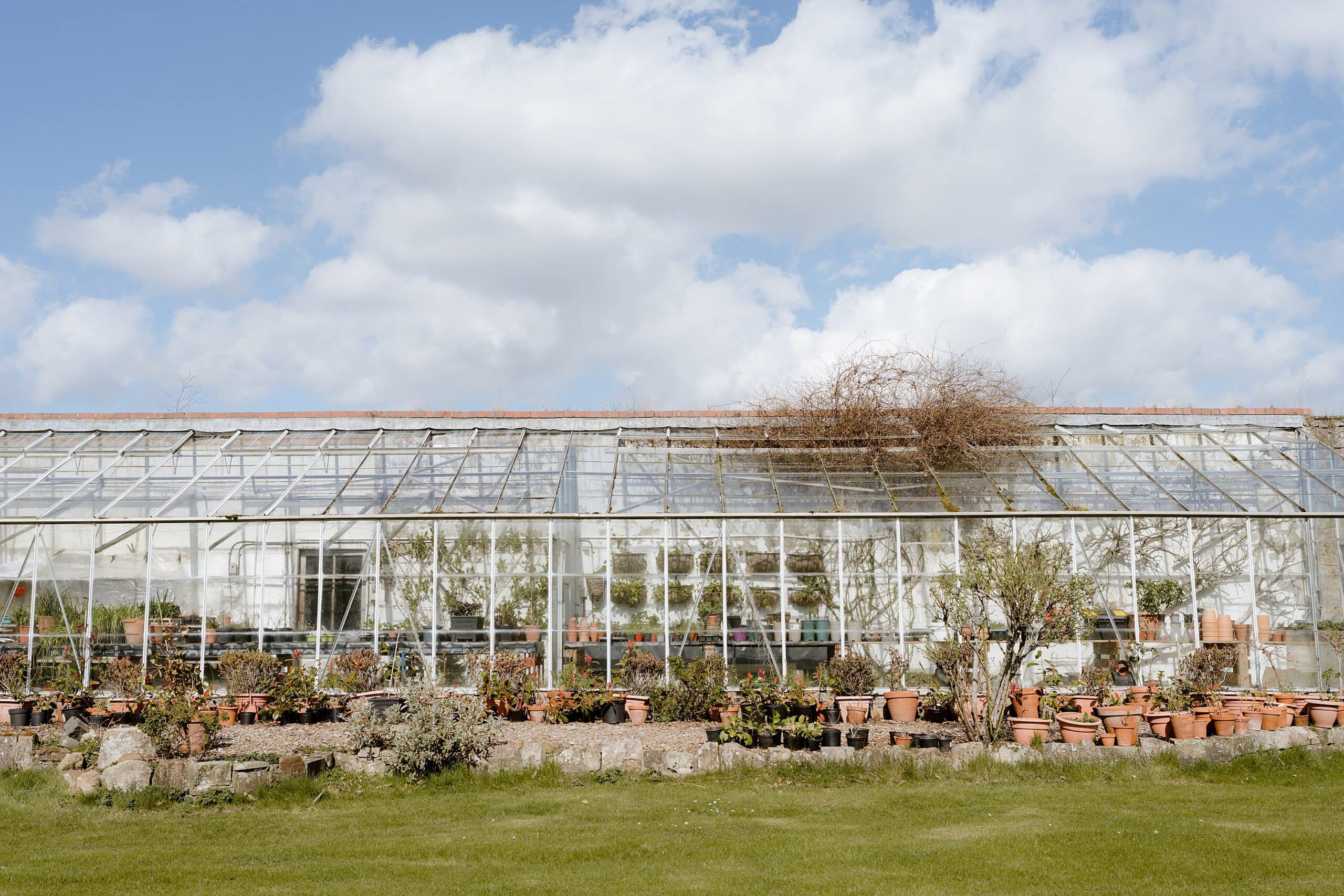 exterior outside view of greenhouse and potted plants at unusual wedding venues east lothian scotland
